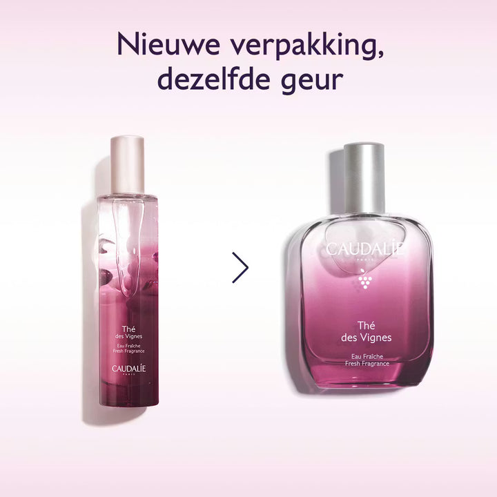 Caudalie Eau Fraiche The des Vignes 50ml (kopie) - Caudalie - Huidproducten.nl